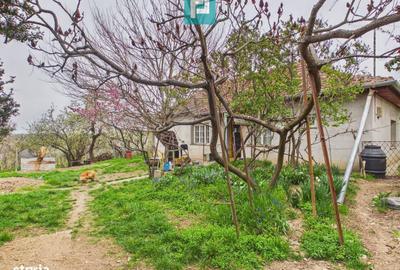 Casă cu 3 camere cu Canalizare în Central - 11