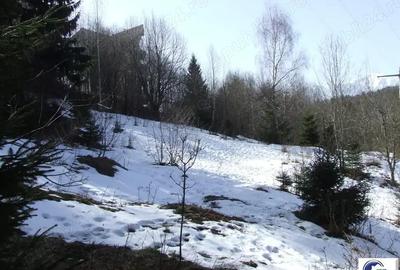 Teren situat in Predeal - 8