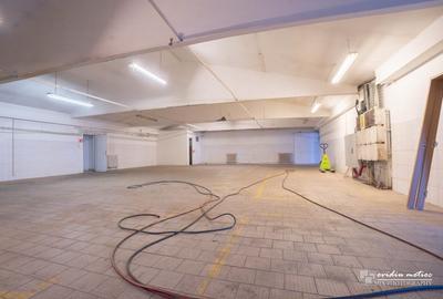 Hale multifunctionale str. Aurel Vlaicu - 4
