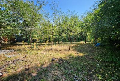 Casă Nucet, 864 mp teren cu pomi fructiferi – la 21 km de Sibiu - 4