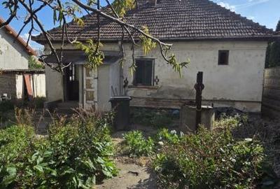 Teren de 500 mp, în Micro 14 - 6