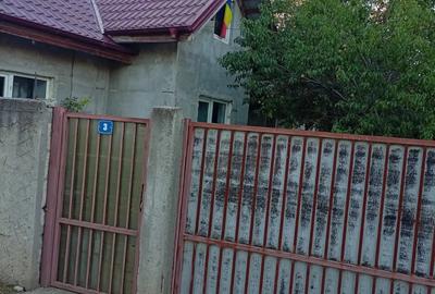 Casa cu gradina mare de inchiriat - 4