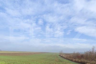 Teren de 15000 mp, în Miroslava - 4