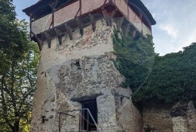 Teren Construcții intravilan de 5684 mp, în Meșendorf - 17