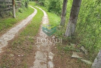 Teren Construcții intravilan de 800 mp, în Exterior Vest - 22