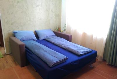 Inchiz apartament cu 2 camere central Timisoara - 16
