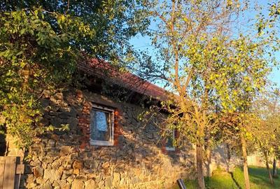 Casă cu 3 camere cu Teren 1200 Mp în Goruia - 2