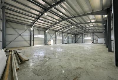 Spațiu industrial, de 598 mp, în Exterior Vest - 5