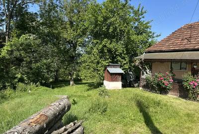 Vand casa de caramida sat Bodesti -comuna Halmagiu Arad - 6