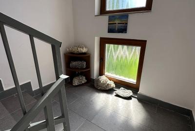 Casă de închiriat, 7 camere, 250 mp, Făget - 14