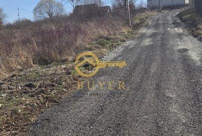 Spațiu comercial, în Daia - 2