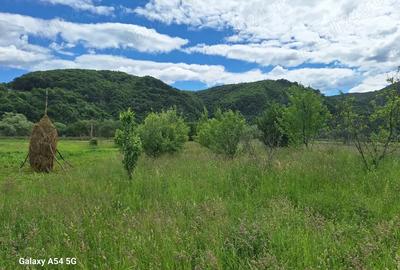 Casă cu 3 camere în Rebrișoara - 3