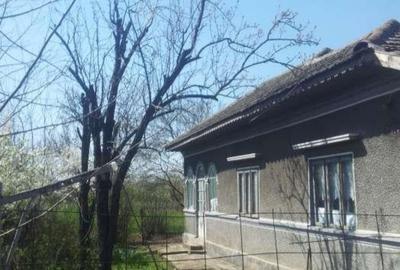 Casa și  teren de vânzare Luica jud Călărași