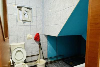 Casa - Frumusani - Pasarea - Calarasi - 23