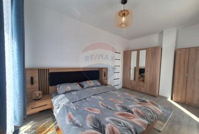 Apartament cu 2 camere, mobilat în Turnișor - 16