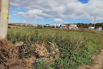 Teren agricol extravilan de 4600 mp, în Baciu - 2