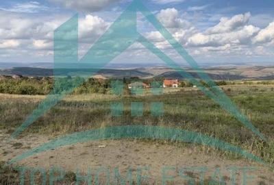 Teren intravilan, 5800 mp, satul Gheorghieni!