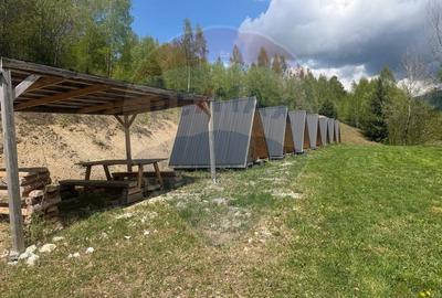 Casă cu 14 camere cu Teren 62330 Mp în Horea - 44