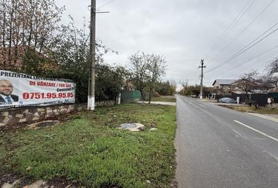 Casa cu livada Izvorani la 300m de Lacul Snagov asfalt si utilitati - 19