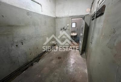 Spatiu cu potential - 174 mp, inaltime mare zona centrala, Zidului - 5