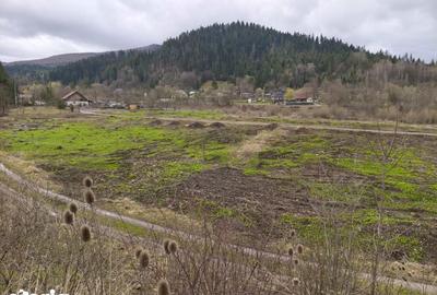 Teren de 22600 mp, în Sucevița - 10