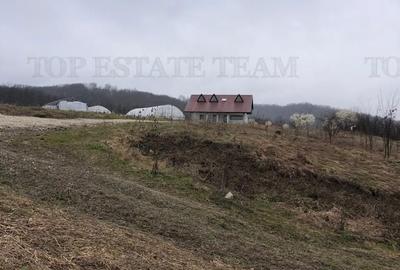 Casă cu 3 camere în Butanu - 4