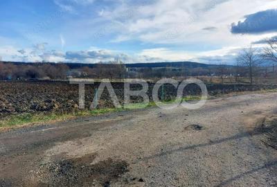 Teren intravilan 1687 mp pentru cabana zona de gradini Cisnadie - 7