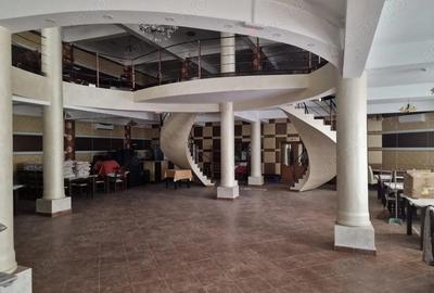 Casă cu 6 camere cu Teren 4500 Mp în Măgura - 13