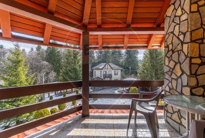 Hotel/Pensiune, de 404 mp, în Vlădeț - Trei Brazi - 37