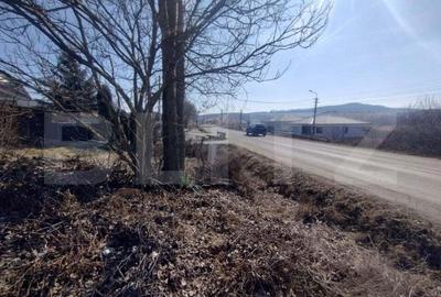 Teren intravilan 500mp(5 ari)la drumul pricipal,Valea Sigmirului - 2