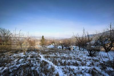 Casă cu 5 camere cu Teren 4000 Mp în Central - 2