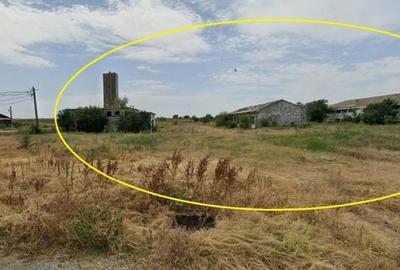 Spațiu industrial, de 970 mp, în Hârșova - 10