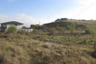 Teren de 15400 mp, în Zăvoi - 3