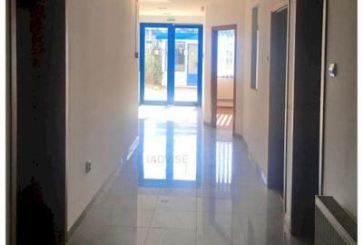 Spatiu productie/ depozitare/showroom - Zaharia Stancu - 6