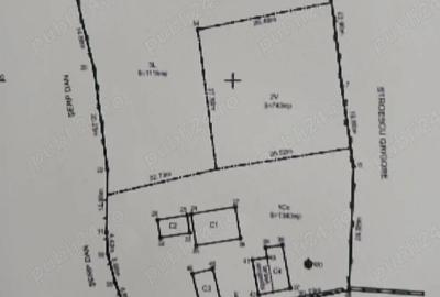 Casă cu Teren 3200 Mp în Grecești - 2
