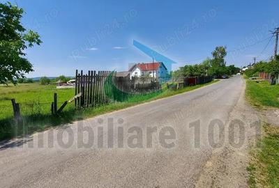 Teren de 2936 mp, în Cicârlău - 4