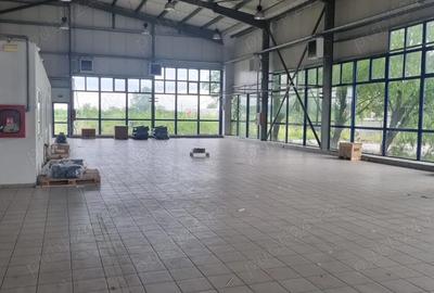 Afumati, showroom depozit 550 mp la DN2 - 4