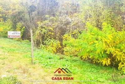 Teren intravilan in Campina--1722 mp--32e - 4