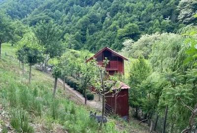 Casa de vacanta cu 4 camere, 1470 mp teren, Sugag - 5