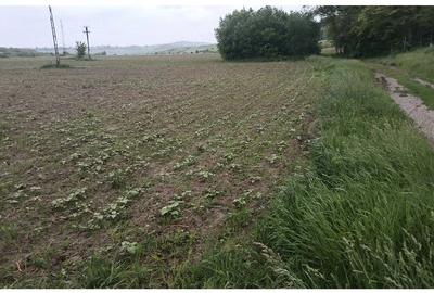 Teren de 15000 mp, în Șendriceni - 2