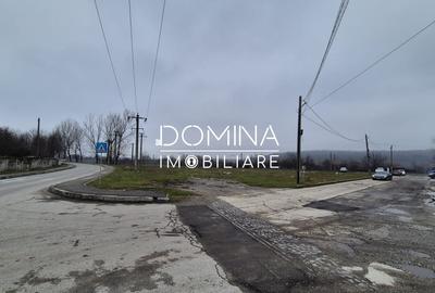 Teren Construcții intravilan de 5173 mp, în Est - 4