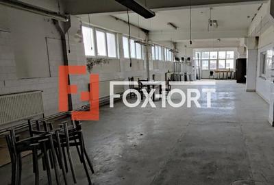 Hala productie in Timisoara COMISION 0% - ID V4732 - 2