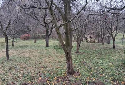 Casă cu 3 camere în Râu Alb de Jos - 1