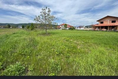 Spațiu comercial, în Olteni - 1