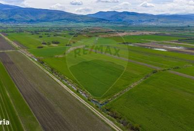 Spațiu comercial, în Lunca Mărcușului - 4