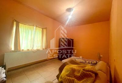 Spatii productie si depozitare, zona Sebis - Prunisor-Carand - 22