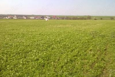 Teren de 7500 mp, în Central - 3