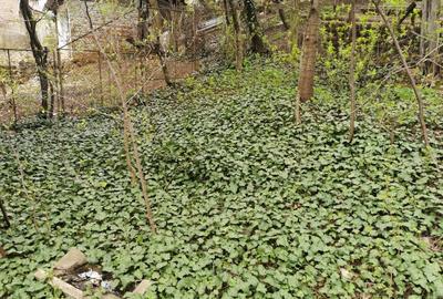 Apartament cu 5 camere decomandat în Central - 18