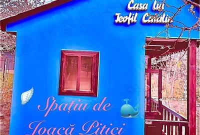 Casă cu 4 camere cu Teren 1200 Mp în Sfântu Ilie - 1