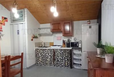 VILA TURISTICA SUPERBA COSTINESTI - 8